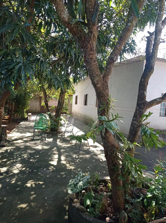 Hostel Bem-Te-Vi カバルカンテ エクステリア 写真